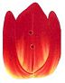 Small Tulip